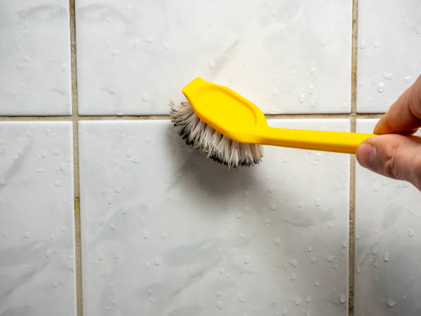Best Office Mold Removal Services  in Frankfort, MI
