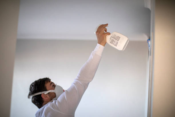 Trusted Frankfort, MI Mold Removal Experts