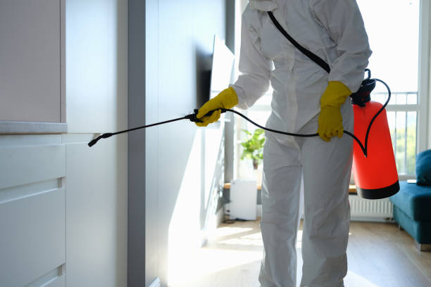 Best Attic Mold Removal  in Frankfort, MI